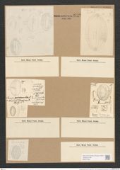 Diatomeae indet. (de-Toni-Nr.: Species 1818 ?, 1835 ?) Zeichnungen Sammlung Grunow Nr. 3722 (NHMW-BOT-W0371358)
